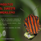 Cartel promocional del vídeo sobre insectos del Parque Regional del Sureste realizado con imágenes tomadas por Barnardo García Medrano
